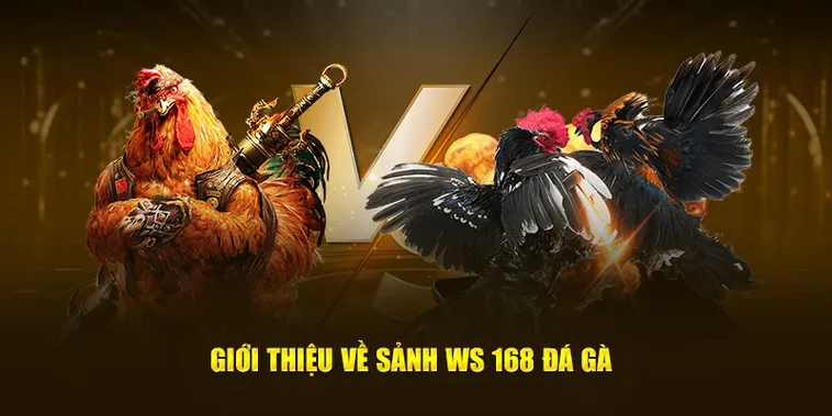 Bí Quyết Thắng Lớn Đá Gà WS168 Tại U888 Hấp Dẫn Kịch Tính